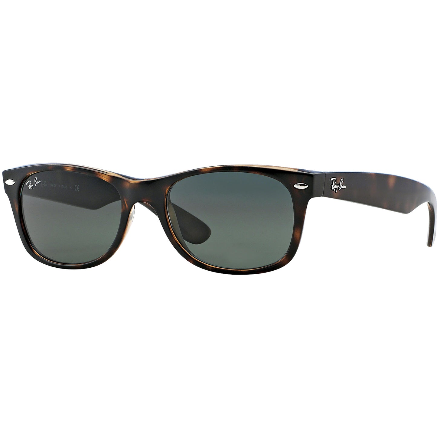 Wayfarer Sunglasses